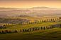fog hills Italy Magic light mist Paintings Tuscany