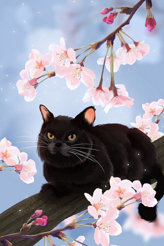 可爱黑色猫咪樱花