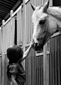 孩子和一匹马Behance