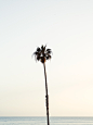 Santa Barbara - Cereal