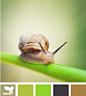 Design Seeds®: For All Who Love Color