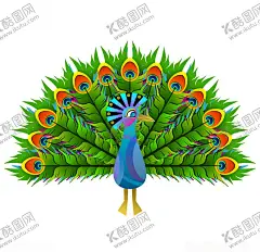孔雀 【酷图网】孔雀,孔雀开屏,孔雀毛,羽毛,开屏,蓝孔雀,绿孔雀,刚果孔雀,白孔雀,孔雀素材,孔雀设计,孔雀壁纸,孔雀摄影,孔雀高清,水彩图案,孔雀拍摄,孔雀园,孔雀世界,孔雀生活,孔雀矢量图,鸟,鸟类,大鸟,大鸡,鸡雉,唯美,动物,野生动物