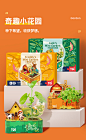 TOI奔的翻斗车 6973434124052 - TOI图益 -南京图益创意科技有限公司