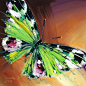 蝴蝶为花碎、花与随风吹
来自：http://www.crystalroyal.net
