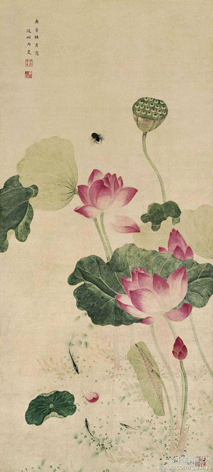 清 吴应贞 《荷花图》--- 这是一幅表...