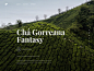 Tea Manufacturer Website Concept