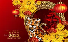 15款中国风2022年春节虎年新年红包贺卡海报吉祥图案矢量设计素材 Chinese New Year 2022 The Tiger Vector
