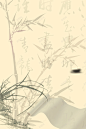 中国风水墨背景 竹子 背景 背景 设计图片 免费下载 页面网页 平面电商 创意素材
