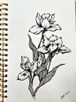 花 线描的搜索结果_百度图片搜索
