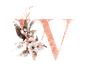 粉系唯美水彩手绘花卉字母婚礼请柬装饰LOGO 免扣PNG图案设计素材 (106)
