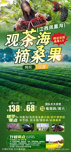 南昌桑果采摘原创海报_源文件下载_PSD格式_750X1600像素-银杏林,茶业博物馆,生态茶业展示园,江西凤凰沟,研学之旅,摘桑果,南昌观茶海-作品编号:2025040115316897-源文件下载-志,设`网