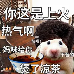 鼠鼠表情包|如果你有一个广东妈妈… : 我说过最叛逆的话，可能就是拒喝妈妈煲的汤 （当然，最后结局永远不可能是不喝的）   适用场景：发给妈妈/不爱吃饭的朋友/热气的朋友 	 #表情包  #我最爱的表情包  #奇奇怪怪表情包  #表情包