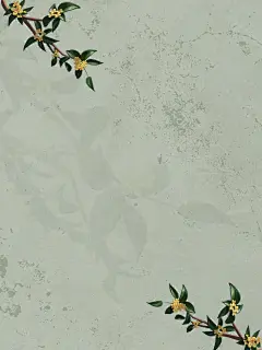 中国风底图|桂花素材|封面背景图｜纹理壁纸 - 小红书