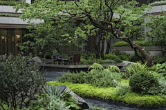 木槿yy采集到临高样板区