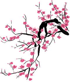 樱花树绘图