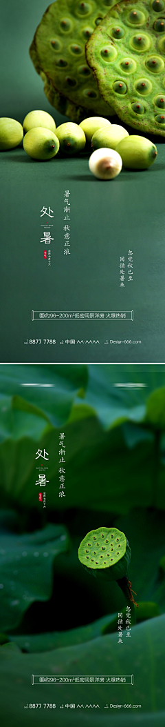 TGFeMhi3采集到处暑