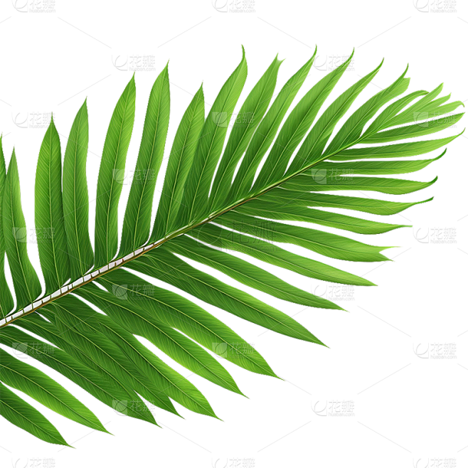 通用绿色植物叶子元素贴纸