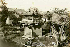 迪奥米拉采集到清