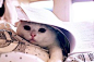 aladd设计量贩铺 