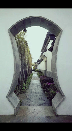 OuPoo采集到脱俗