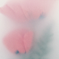 Flowers for the unicorn : Personal project "Flowers for the Unicorn"