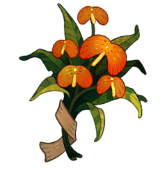 Emmanuel★quot;采集到植物