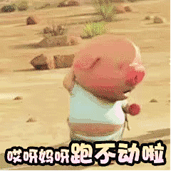 小猪快跑表情包GIF [本居居先溜了溜了]