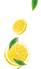 漂浮一片柠檬叶子#png水果素材