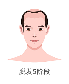 得之为采集到人体结构