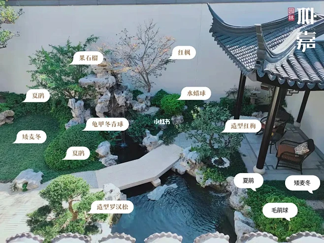 中式庭院植物搭配分享-花瓣网