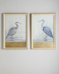 "Keeping Watch" Heron Prints by John-Richard Collection at Horchow.Would love these hanging in my living room!: 
