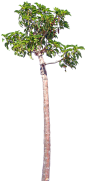 VB_med_rubber_small_01.png