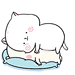 24 Lovely cat WeChat expression iPhone 8 Emoticons Animoji