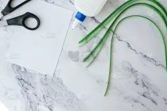 Diy的圣帕特里克节贺卡，由鹅毛草和纸三叶草在白色背景。心意送礼，装饰春天，帕特里克节快乐。一步一步