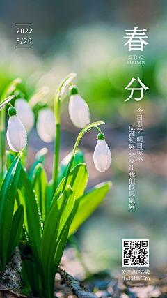 炼制楽采集到左右
