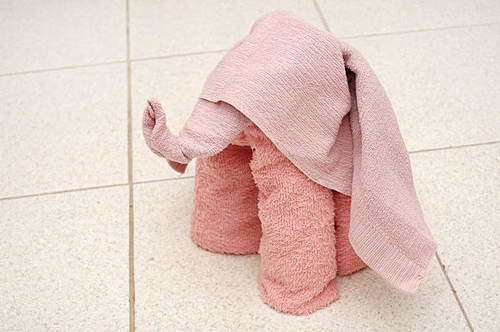 亲子手工：怎么用毛巾折大象(图文教程)