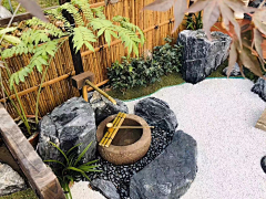 多闻草木少识人采集到庭院