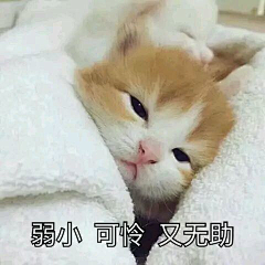 修钛采集到気持ち