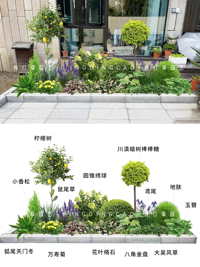 植物配置： 小香松、鼠尾草、圆锥绣球、川滇蜡树棒棒糖、鸢尾、地肤、玉簪、大吴风草、花叶络石、万寿菊、狐尾天门冬、向日葵、亮金女贞球、百子莲 ...