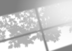 用户ermC2qU2采集到png