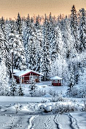 **Cabin in the snowy woods, Finland