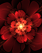 red_bloom_by_caffe1neadd1ct-d3app9x