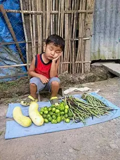 采集图片