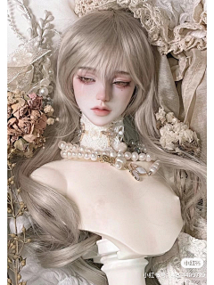 坚果很长肉君采集到bjd