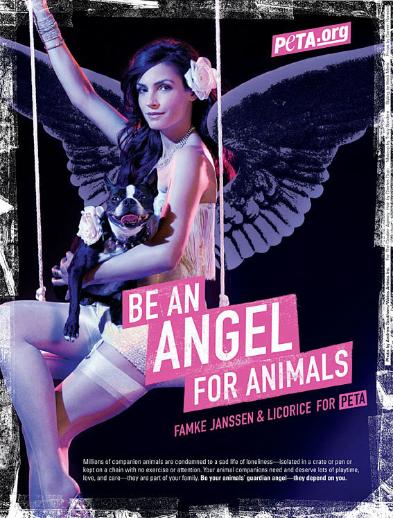 "Be An Angel For Ani...