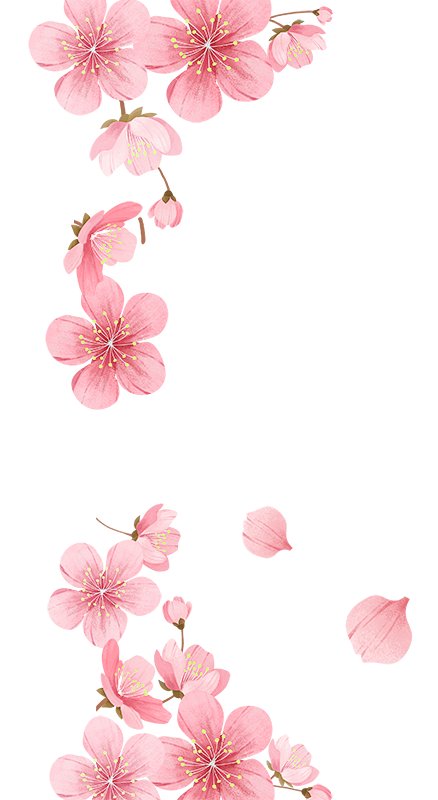 桃花花蕊粉色水彩