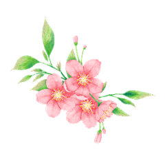 咖啡和小喵咪采集到GIF