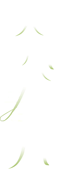 jinwen959采集到字体