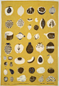 Lucienne Day fabric