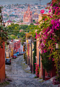 San Miguel de Allende ,Mexico (by Paul Michaud)。墨西哥圣米格尔-德阿连德，建立在海拔 1950米之上，是座典型的殖民地风格小城，同时又是墨西哥著名的艺术之城，很多画家、雕刻家、陶艺家、摄影家都是阿连德美术学院(Instituto Allende)培育出来的人才。这里有殖民地建筑、迷人的鹅卵石街道和耀眼的灯光。定期的节日、烟火和游行构成了当地的主要风景，这个城市就像墨西哥的迪士尼乐园一般吸引人前往。 #古镇# #海滩# #街景#
